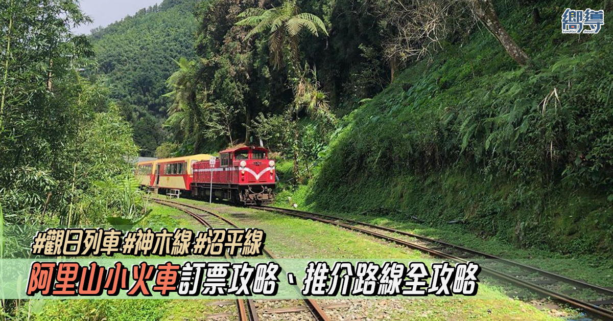 【阿里山森林鐵路】阿里山小火車路線圖、訂票攻略、體驗指南