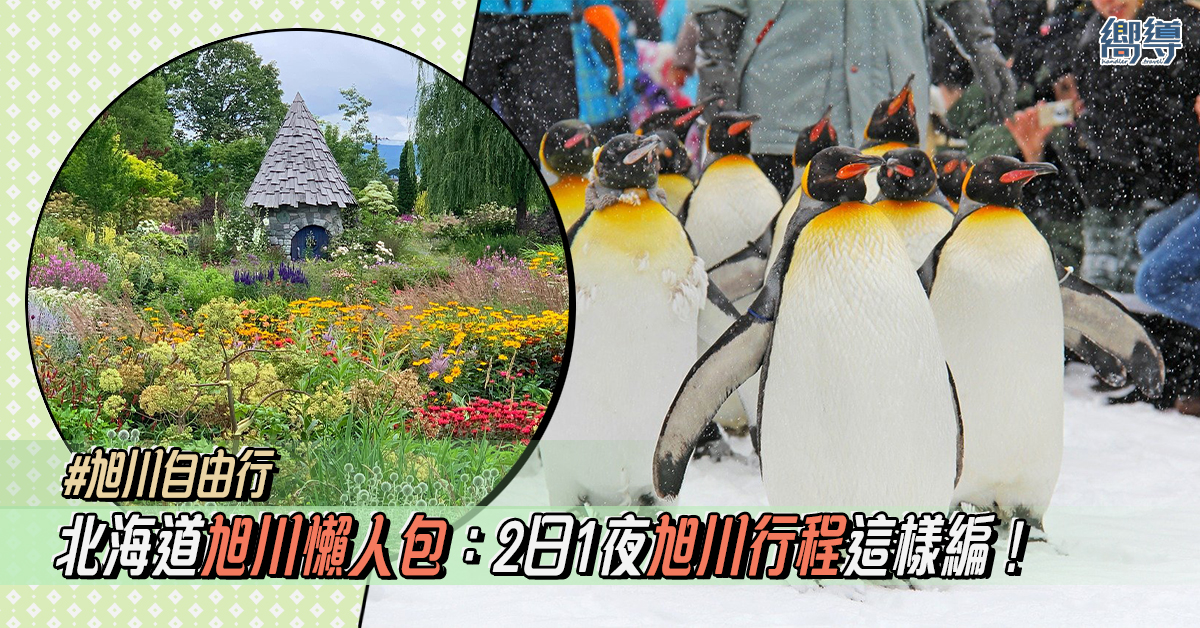 【旭川懶人包】北海道旭川景點、美食、住宿一文看！2日1夜旭川行程這樣編！