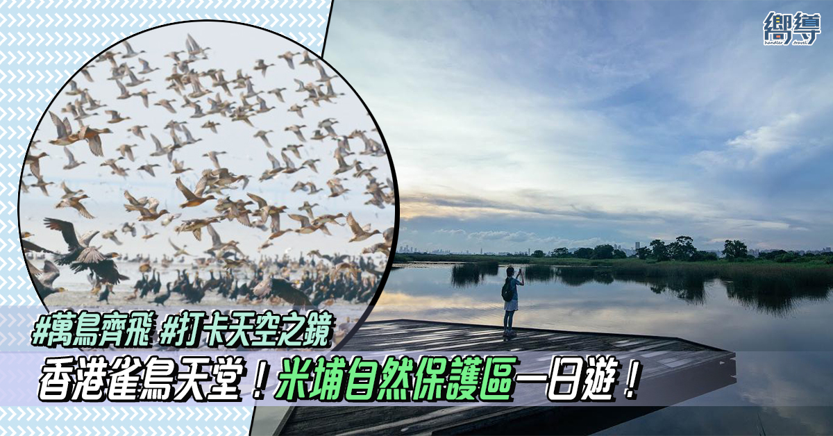 天空之鏡 濕地公園 米埔 米埔自然保護區 觀鳥 賞鳥 郊外好去處 郊遊