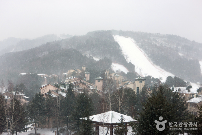 南韓滑雪場推薦 - 龍平滑雪度假村 (Yongpyong Resort)