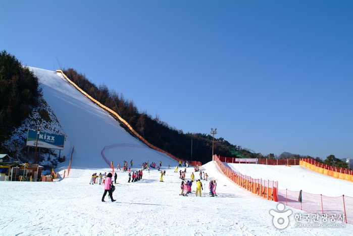 南韓滑雪場推薦 - 平昌阿爾卑西亞滑雪度假村 (Alpensia Ski Resort)