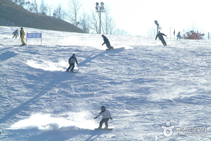 南韓滑雪場推薦 - 平昌阿爾卑西亞滑雪度假村 (Alpensia Ski Resort)