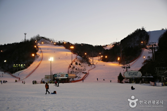 南韓滑雪場推薦 - 平昌阿爾卑西亞滑雪度假村 (Alpensia Ski Resort)