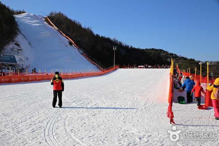 南韓滑雪場推薦 - 平昌阿爾卑西亞滑雪度假村 (Alpensia Ski Resort)