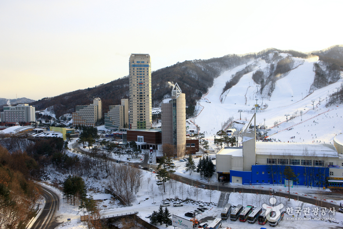 南韓滑雪場推薦 - 鳳凰公園滑雪場 (Phoenix Park Ski Resort)