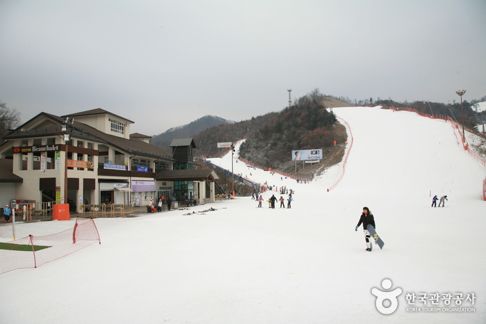 南韓滑雪場推薦 - 平昌阿爾卑西亞滑雪度假村 (Alpensia Ski Resort)