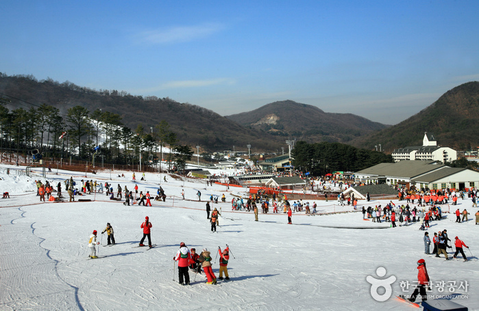 南韓滑雪場推薦 - 芝山森林滑雪場 (Jisan Forest Resort)