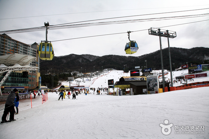 南韓滑雪場推薦 - Welli Hilli Park Ski Resort