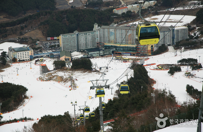 南韓滑雪場推薦 - Welli Hilli Park Ski Resort