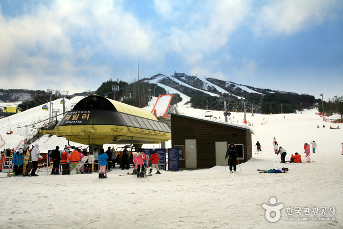 南韓滑雪場推薦 - Welli Hilli Park Ski Resort