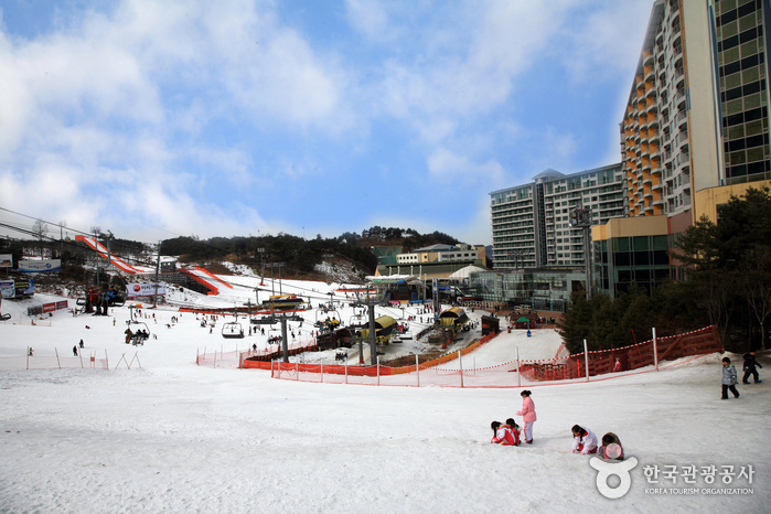 南韓滑雪場推薦 - Welli Hilli Park Ski Resort