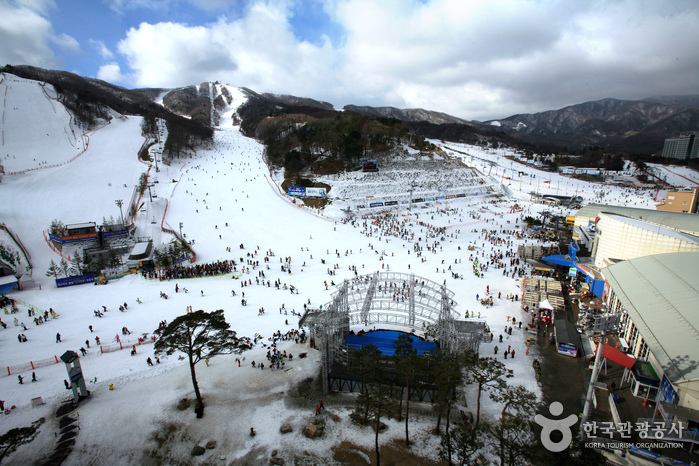 南韓滑雪場推薦 - 鳳凰公園滑雪場 (Phoenix Park Ski Resort)