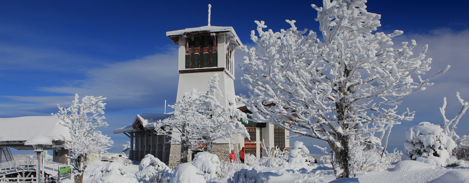 南韓滑雪場推薦 - 龍平滑雪度假村 (Yongpyong Resort)