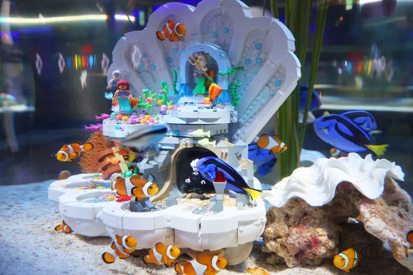 韓國最大室內水族館 - COEX水族館與LEGO合作，帶給小朋友另一番驚喜