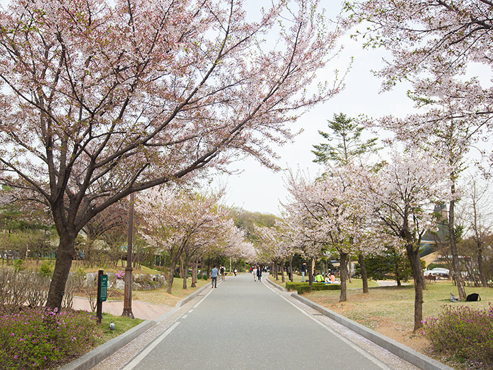 波拉梅公園