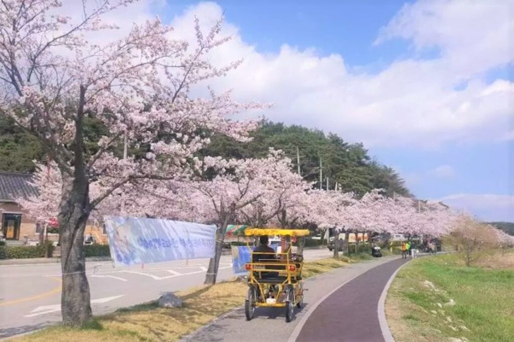 江陵江原道鏡浦湖