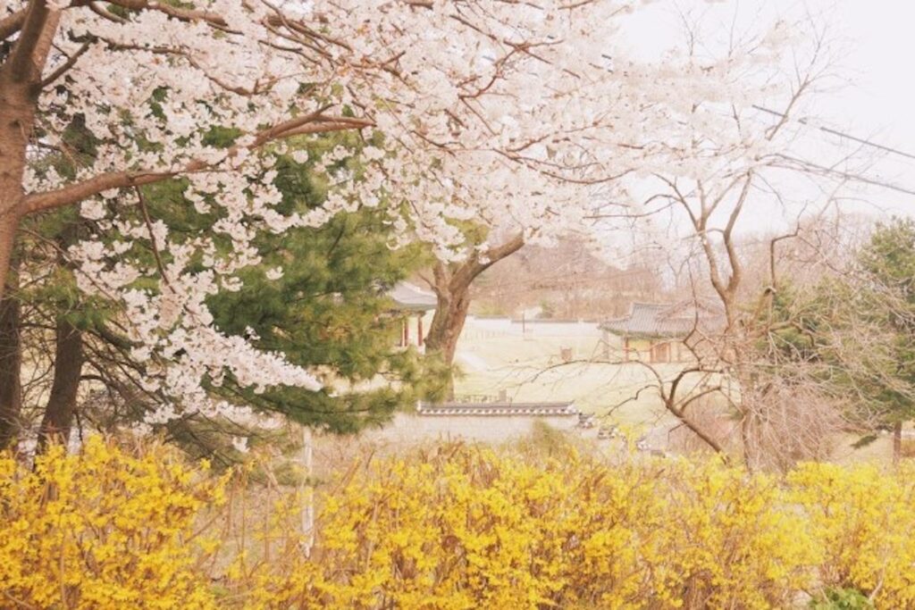 仁川江華