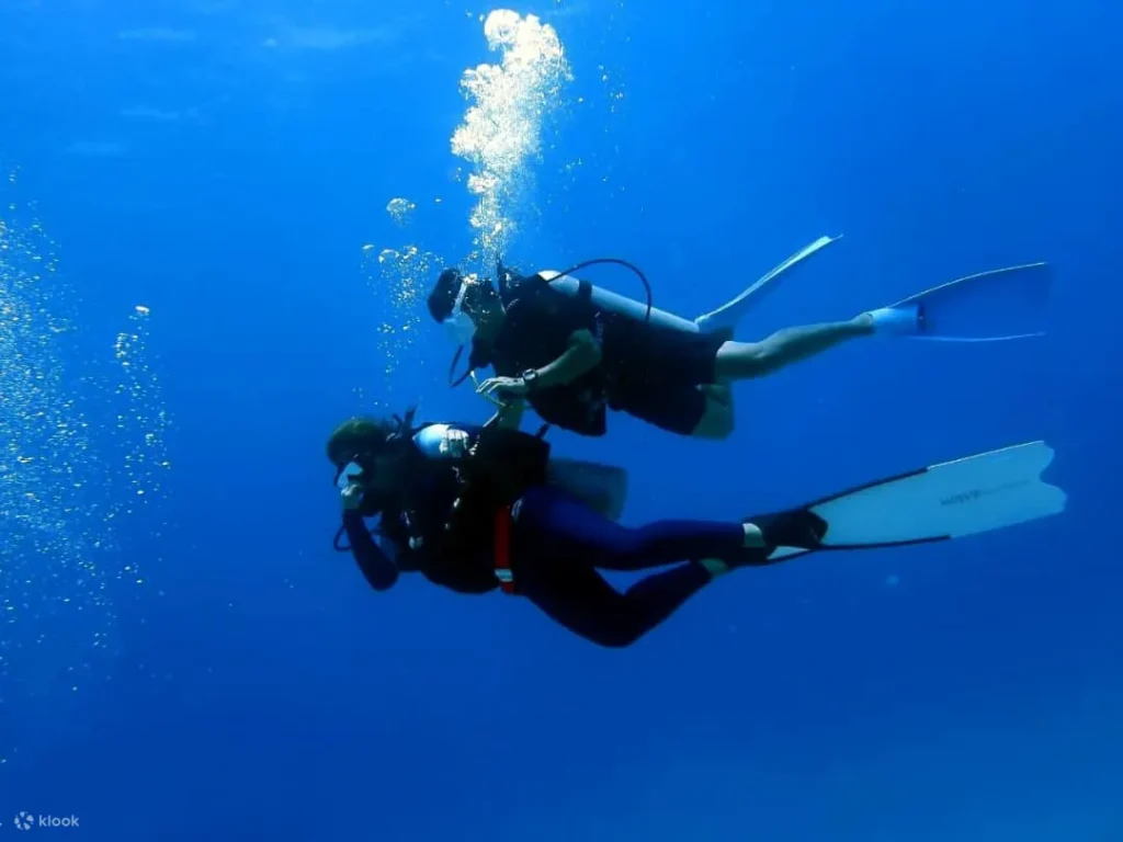 美人魚島浮潛或水肺潛水