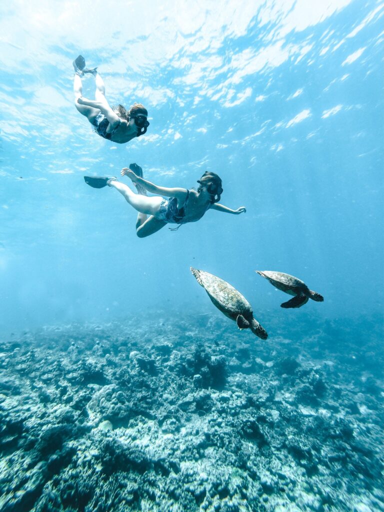 海洋生物學家浮潛