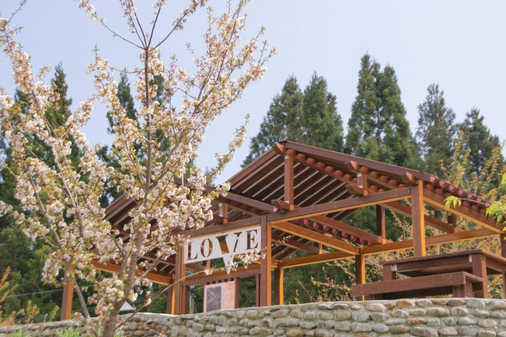 台灣櫻花地點 - 福壽山千櫻園