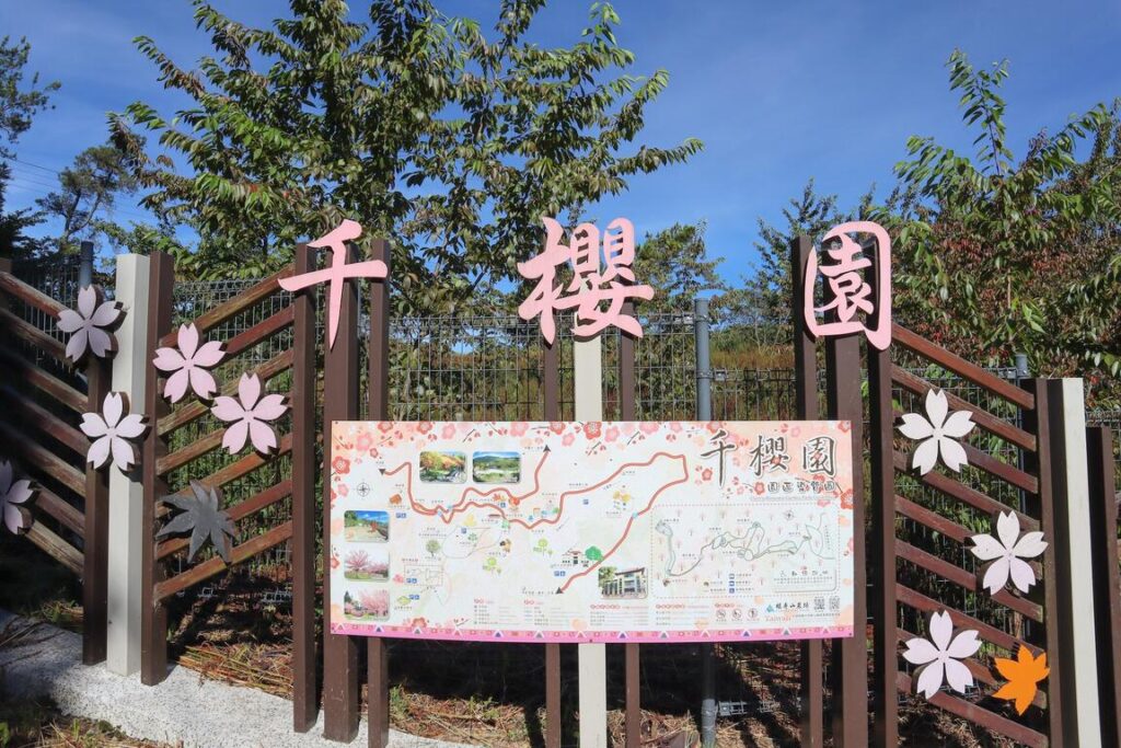 台灣櫻花地點 - 福壽山千櫻園
