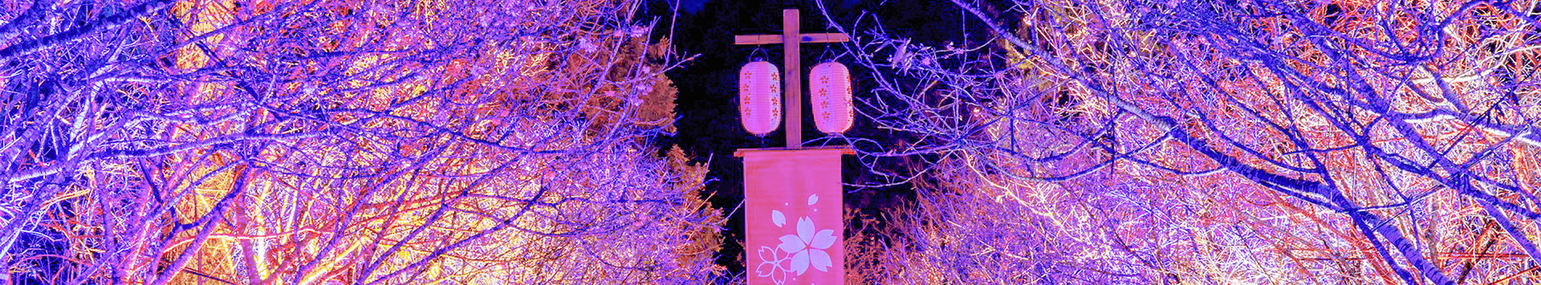 台灣櫻花地點 - 九族文化村櫻花祭